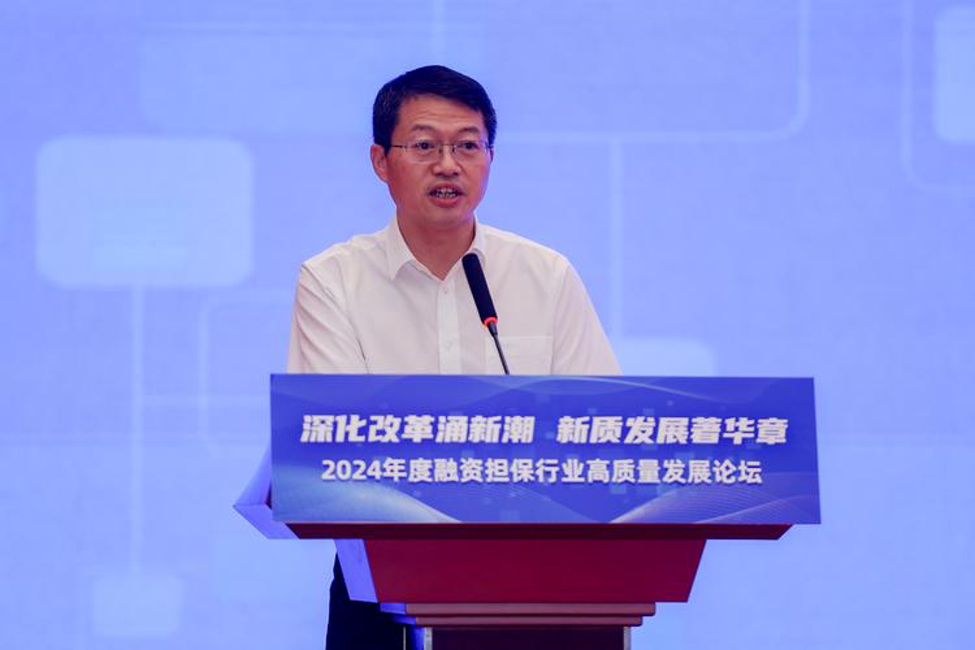 泰达融资担保